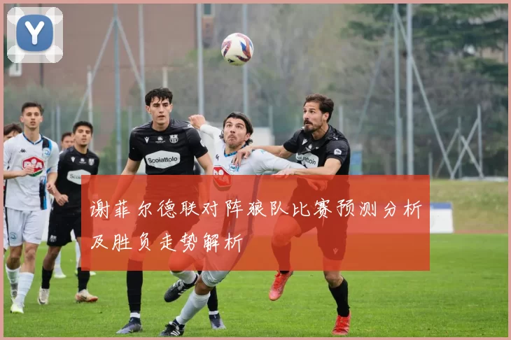 谢菲尔德联对阵狼队比赛预测分析及胜负走势解析