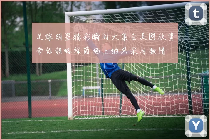 足球明星精彩瞬间大集合美图欣赏带你领略绿茵场上的风采与激情