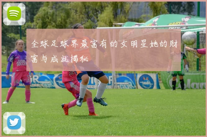 全球足球界最富有的女明星她的财富与成就揭秘