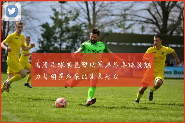 高清足球明星壁纸图库尽享球场魅力与明星风采的完美结合