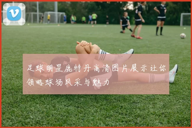 足球明星鹿特丹高清图片展示让你领略球场风采与魅力