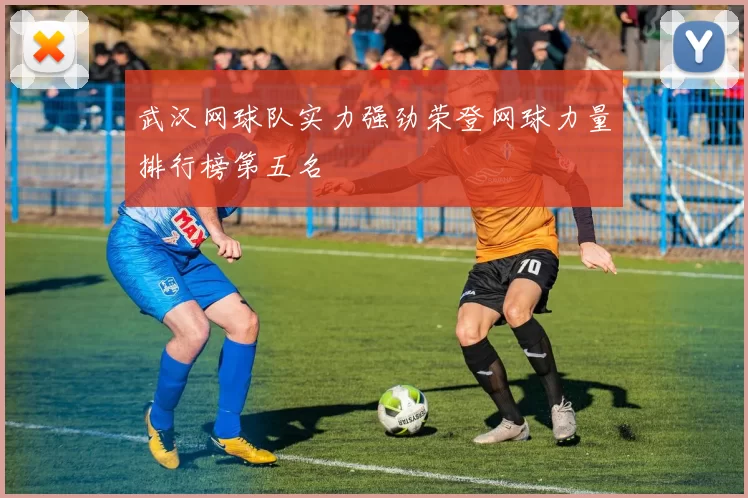 武汉网球队实力强劲荣登网球力量排行榜第五名