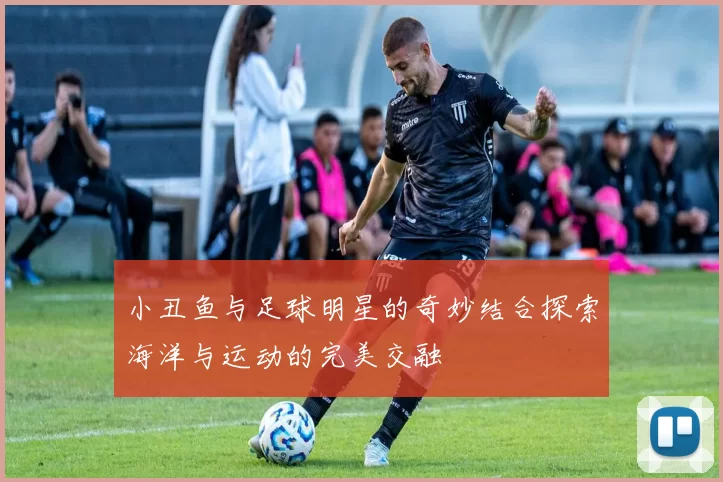 小丑鱼与足球明星的奇妙结合探索海洋与运动的完美交融