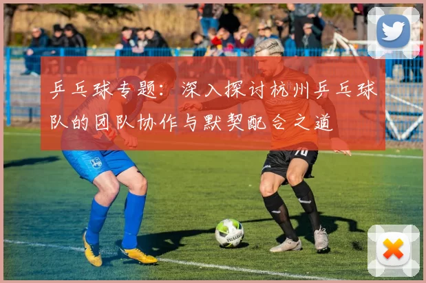 乒乓球专题：深入探讨杭州乒乓球队的团队协作与默契配合之道