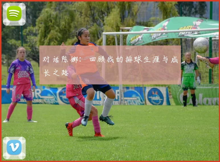 对话陈娜：回顾我的排球生涯与成长之路