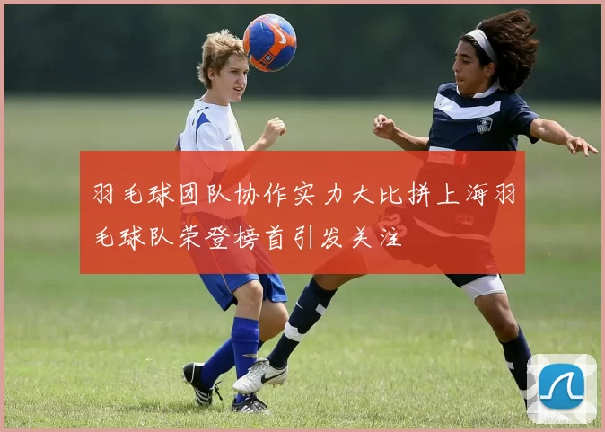 羽毛球团队协作实力大比拼上海羽毛球队荣登榜首引发关注