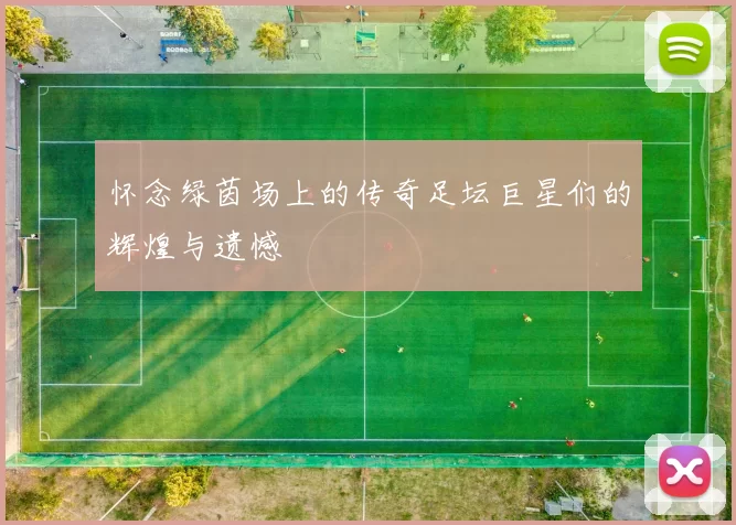 怀念绿茵场上的传奇足坛巨星们的辉煌与遗憾