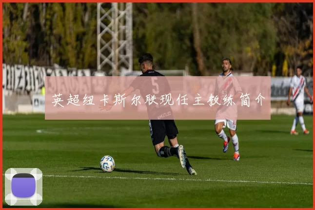 英超纽卡斯尔联现任主教练简介