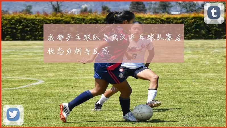 成都乒乓球队与武汉乒乓球队赛后状态分析与反思