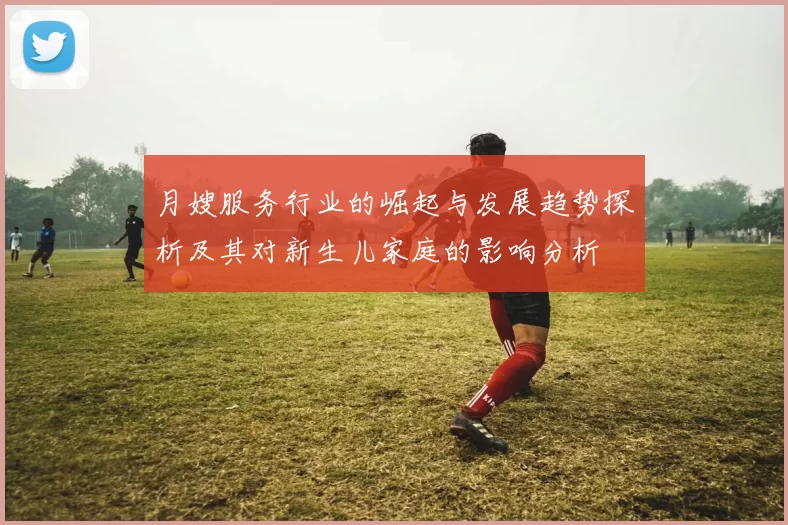 月嫂服务行业的崛起与发展趋势探析及其对新生儿家庭的影响分析