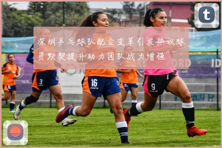 深圳乒乓球队配合变革引发热议球员默契提升助力团队战力增强