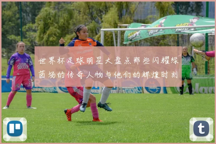 世界杯足球明星大盘点那些闪耀绿茵场的传奇人物与他们的辉煌时刻