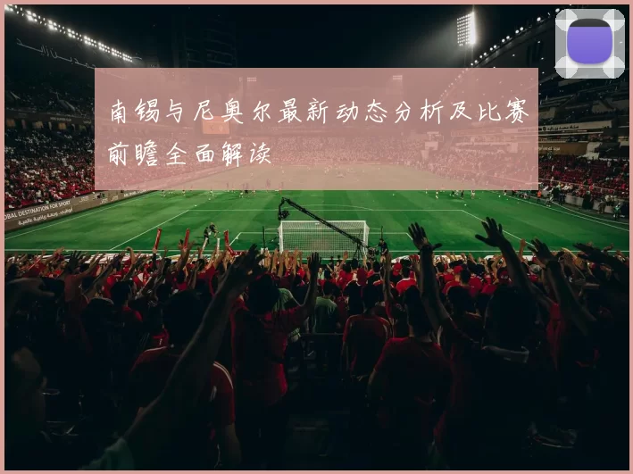 南锡与尼奥尔最新动态分析及比赛前瞻全面解读
