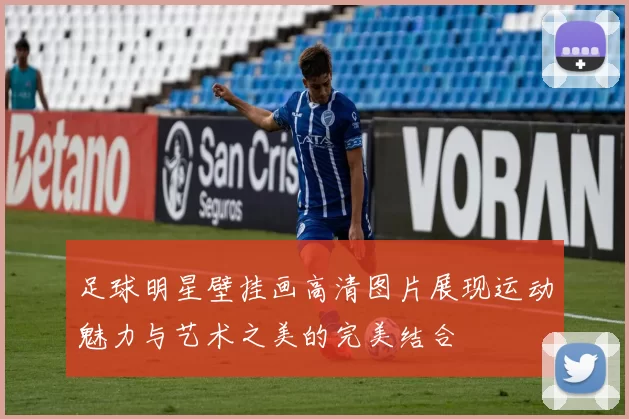 足球明星壁挂画高清图片展现运动魅力与艺术之美的完美结合