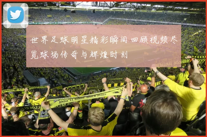 世界足球明星精彩瞬间回顾视频尽览球场传奇与辉煌时刻