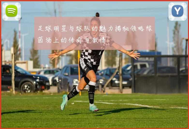 足球明星与球队的魅力揭秘领略绿茵场上的传奇与激情