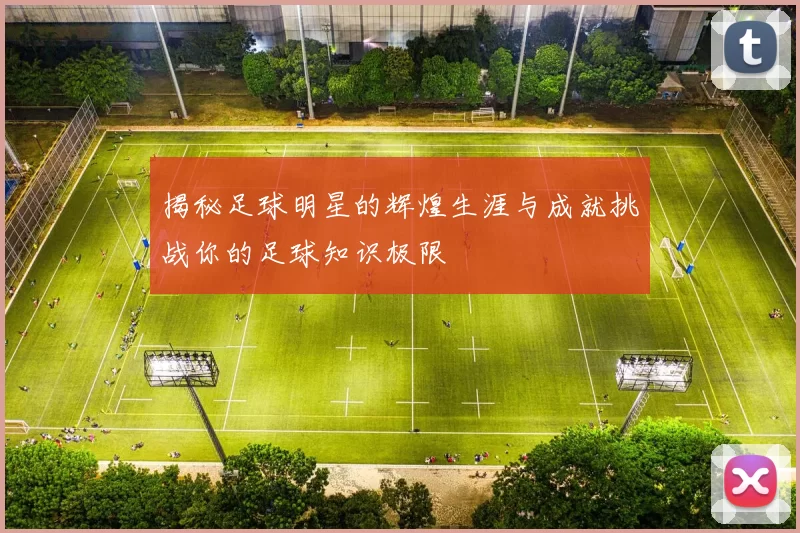 揭秘足球明星的辉煌生涯与成就挑战你的足球知识极限
