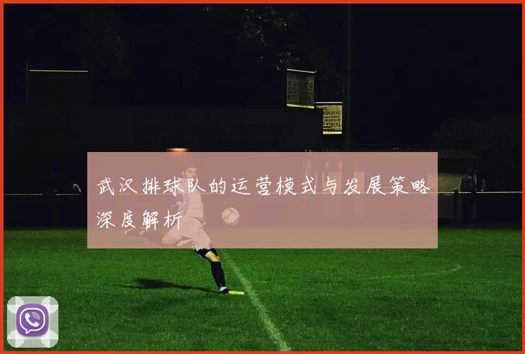 武汉排球队的运营模式与发展策略深度解析