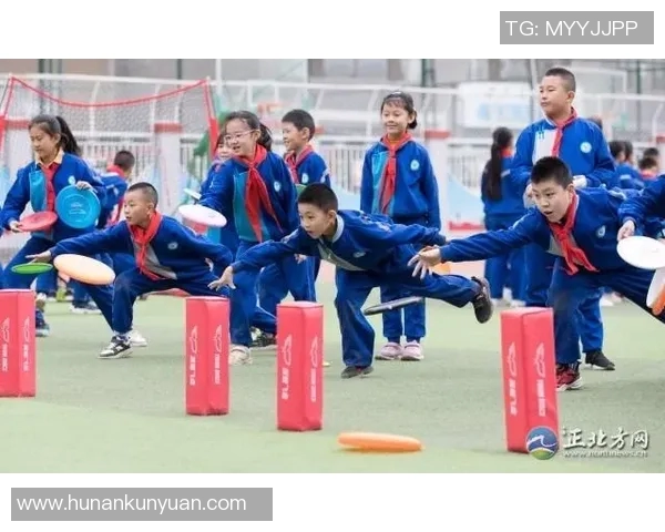 杨军独家分享飞盘技巧与心得体会助你轻松掌握这项运动的乐趣与魅力