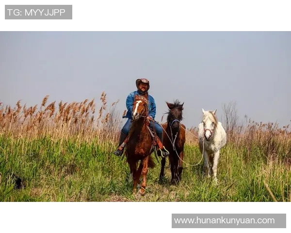 攀岩爱好者必看陈军分享独特攀岩技巧与心得体会